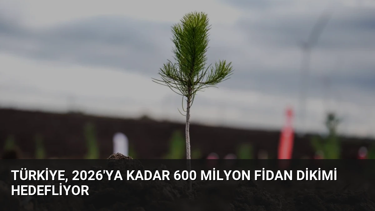 Türkiye, 2026’ya Kadar 600 Milyon Fidan Dikimi Hedefliyor