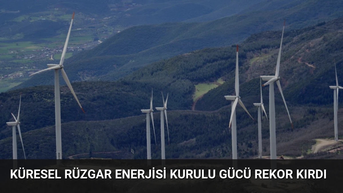 Küresel Rüzgar Enerjisi Kurulu Gücü Rekor Kırdı
