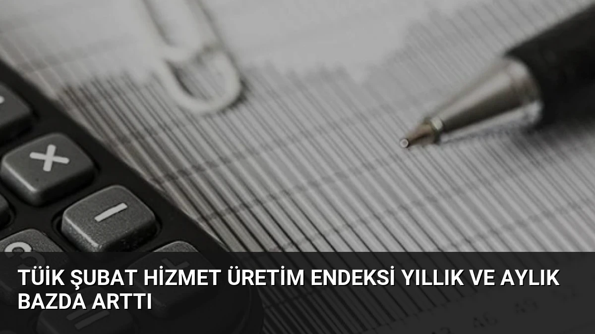 TÜİK Şubat Hizmet Üretim Endeksi Yıllık ve Aylık Bazda Arttı
