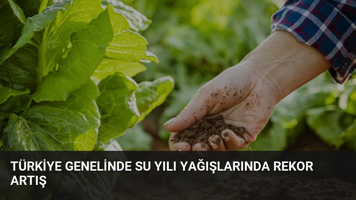 Türkiye Genelinde Su Yılı Yağışlarında Rekor Artış