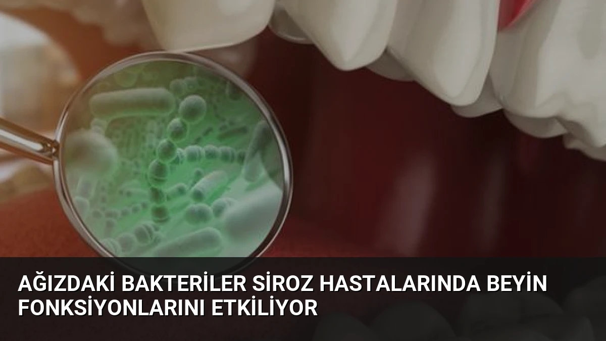 Ağızdaki Bakteriler Siroz Hastalarında Beyin Fonksiyonlarını Etkiliyor