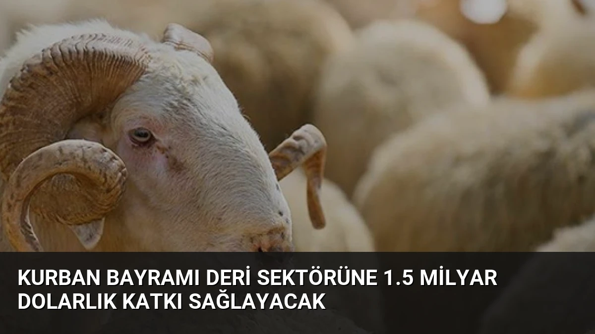 Kurban Bayramı Deri Sektörüne 1.5 Milyar Dolarlık Katkı Sağlayacak