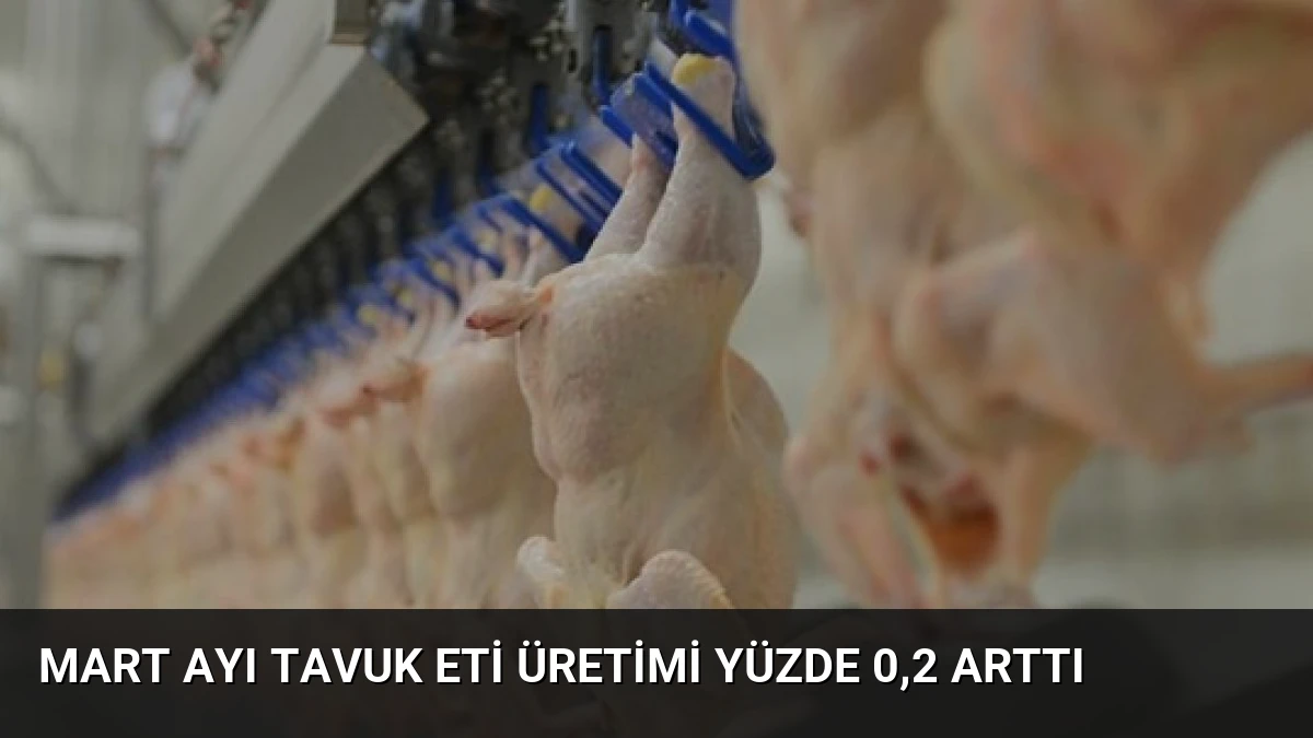 Mart Ayı Tavuk Eti Üretimi Yüzde 0,2 Arttı