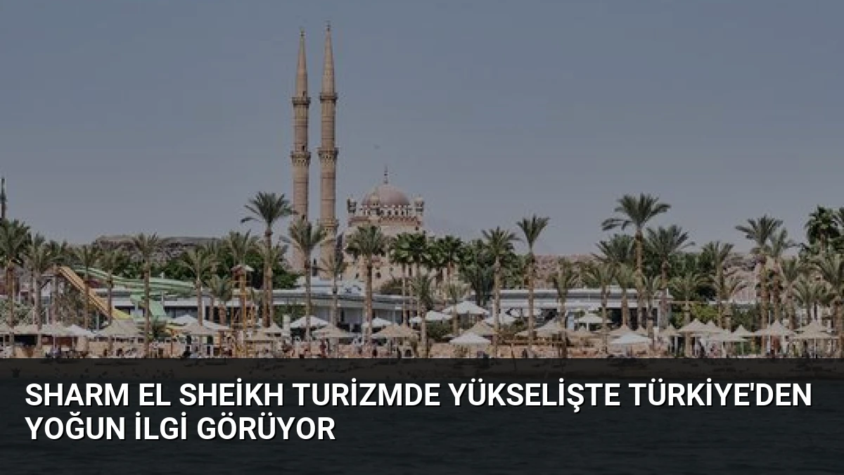 Sharm El Sheikh Turizmde Yükselişte Türkiye’den Yoğun İlgi Görüyor