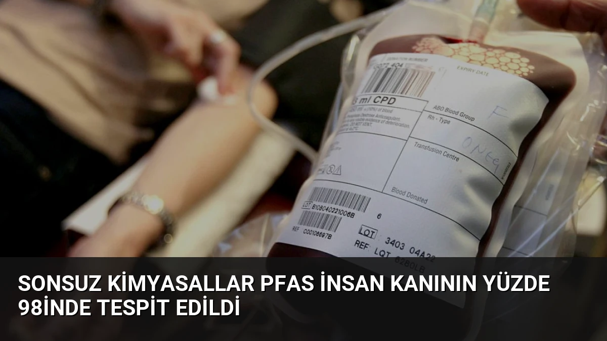 Sonsuz Kimyasallar PFAS İnsan Kanının Yüzde 98inde Tespit Edildi
