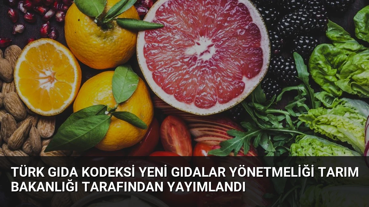 Türk Gıda Kodeksi Yeni Gıdalar Yönetmeliği Tarım Bakanlığı Tarafından Yayımlandı