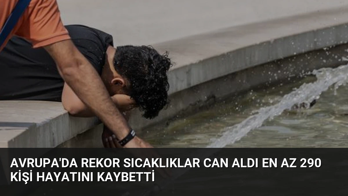 Avrupa’da Rekor Sıcaklıklar Can Aldı En Az 290 Kişi Hayatını Kaybetti
