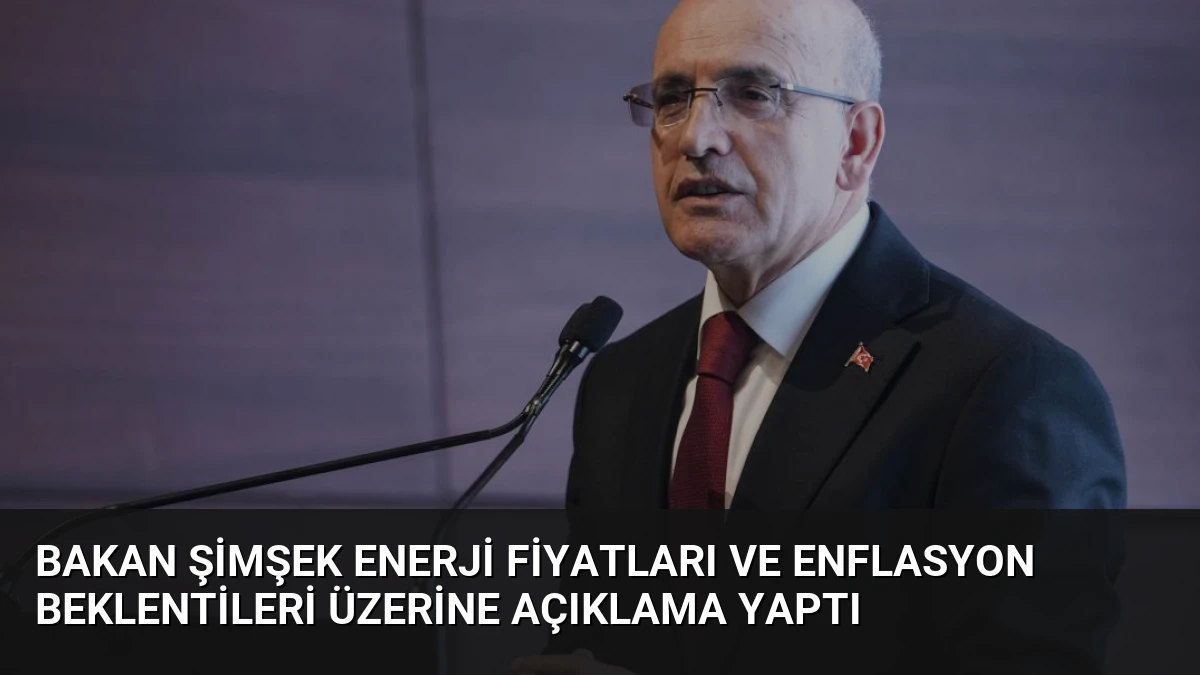 Bakan Şimşek Enerji Fiyatları ve Enflasyon Beklentileri Üzerine Açıklama Yaptı