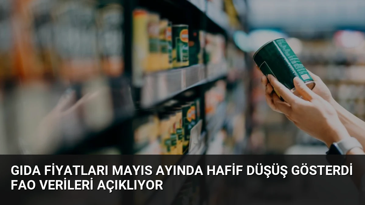 Gıda Fiyatları Mayıs Ayında Hafif Düşüş Gösterdi FAO Verileri Açıklıyor