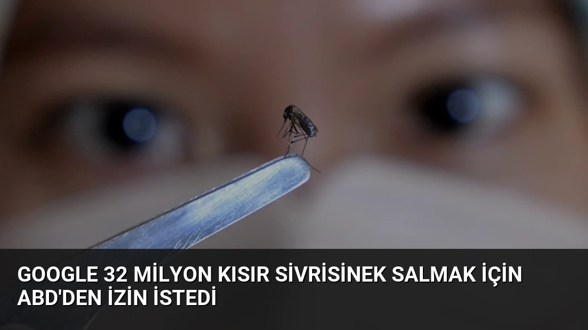 Google 32 Milyon Kısır Sivrisinek Salmak İçin ABD’den İzin İstedi