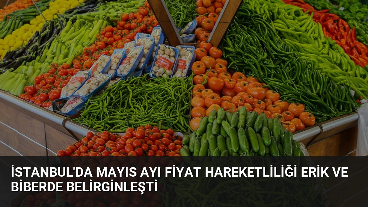 İstanbul’da Mayıs Ayı Fiyat Hareketliliği Erik ve Biberde Belirginleşti
