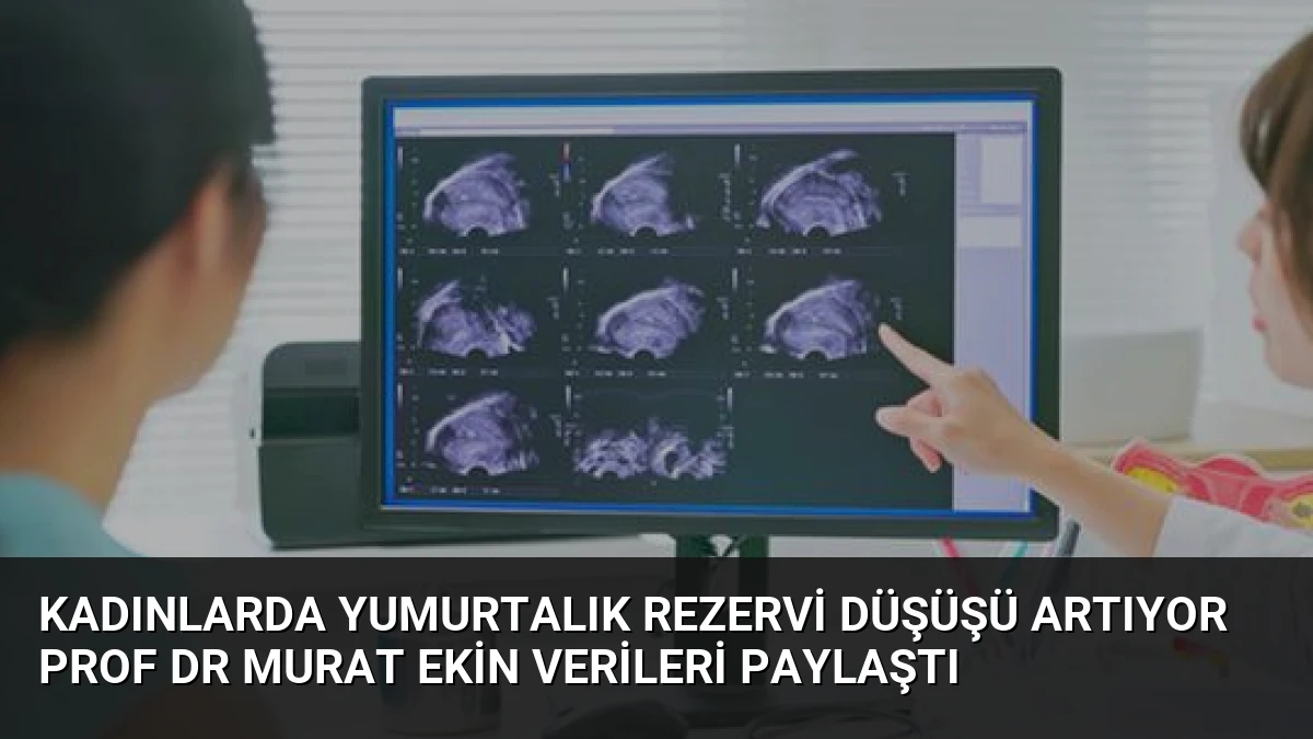 Kadınlarda Yumurtalık Rezervi Düşüşü Artıyor Prof Dr Murat Ekin Verileri Paylaştı