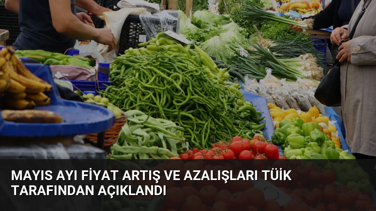 Mayıs Ayı Fiyat Artış ve Azalışları TÜİK Tarafından Açıklandı