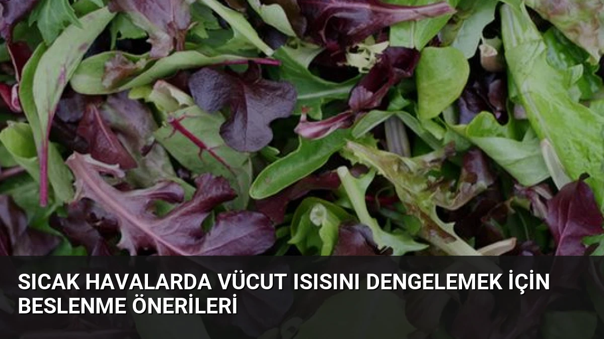 Sıcak Havalarda Vücut Isısını Dengelemek İçin Beslenme Önerileri