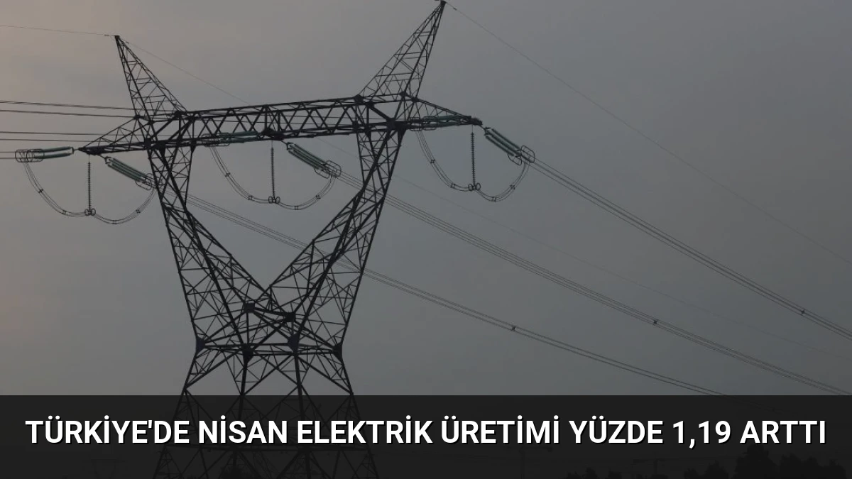 Türkiye’de Nisan Elektrik Üretimi Yüzde 1,19 Arttı