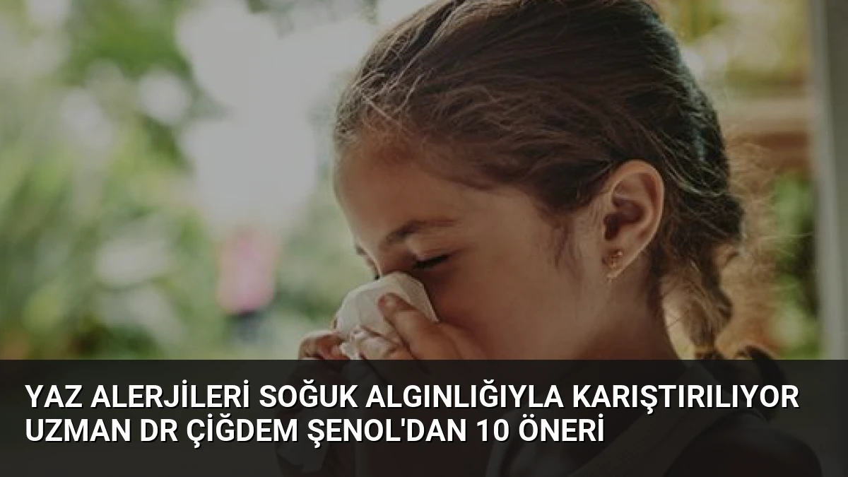 Yaz Alerjileri Soğuk Algınlığıyla Karıştırılıyor Uzman Dr Çiğdem Şenol’dan 10 Öneri