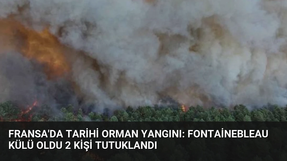 Fransa’da Tarihi Orman Yangını: Fontainebleau Külü Oldu 2 Kişi Tutuklandı