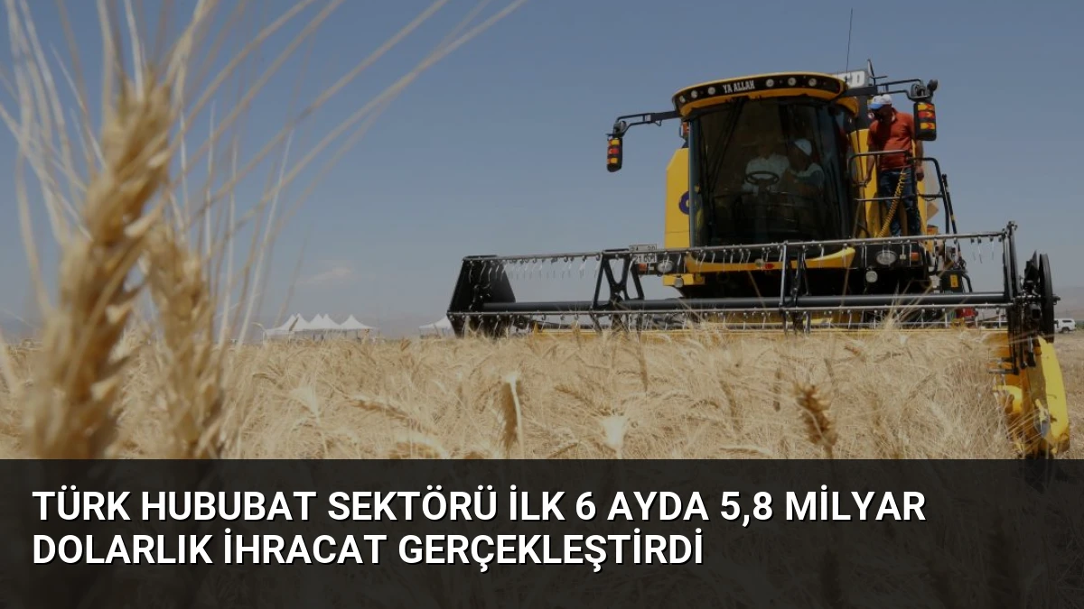 Türk Hububat Sektörü İlk 6 Ayda 5,8 Milyar Dolarlık İhracat Gerçekleştirdi