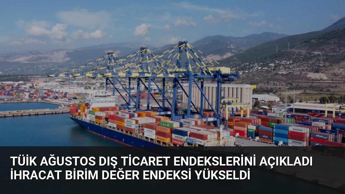 TÜİK Ağustos Dış Ticaret Endekslerini Açıkladı İhracat Birim Değer Endeksi Yükseldi