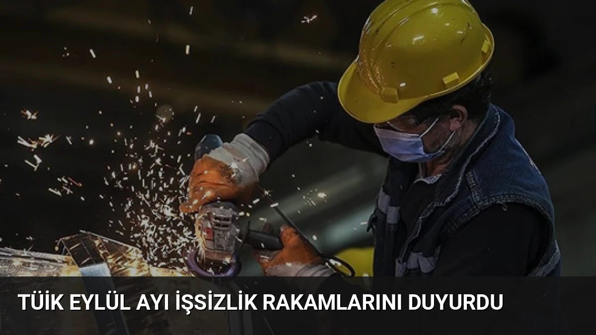 TÜİK Eylül Ayı İşsizlik Rakamlarını Duyurdu